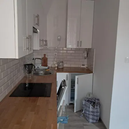 Kawalerka W Centrum Jeleniej Gory * Еленя-Гура